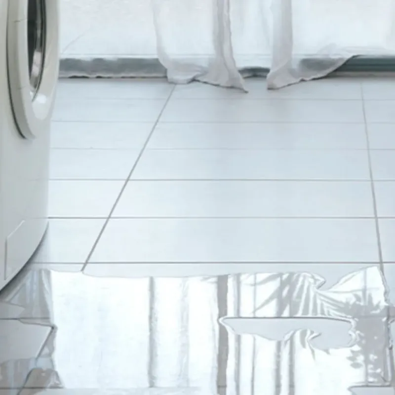 Appliance Leak Cleanup in Chesapeake, VA