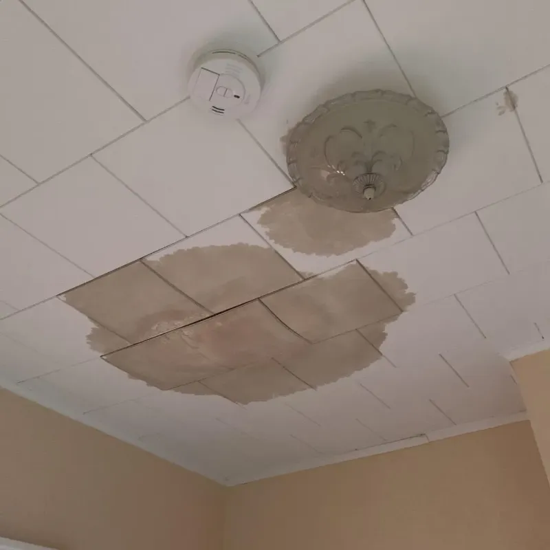 Ceiling Water Damage Repair in Chesapeake, VA