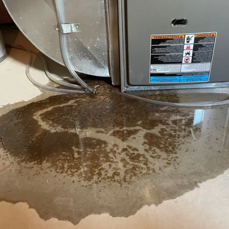 Pipe Burst and Leak Restoration in Chesapeake, VA
